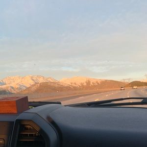 Meet your Posher, Flor